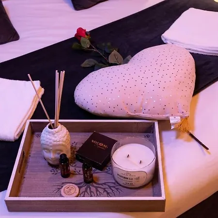 Bed & - La Parenthese Topdestination-dijon - Centre - Classe 3 Etoiles * 第戎